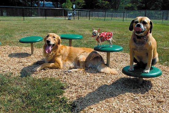 MorningStar New Home Community With Amenities For Dogs morningstar-new-home-community-with-amenities-for-dogs